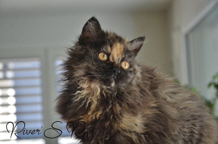 DSC_3843.jpg - Vicky 