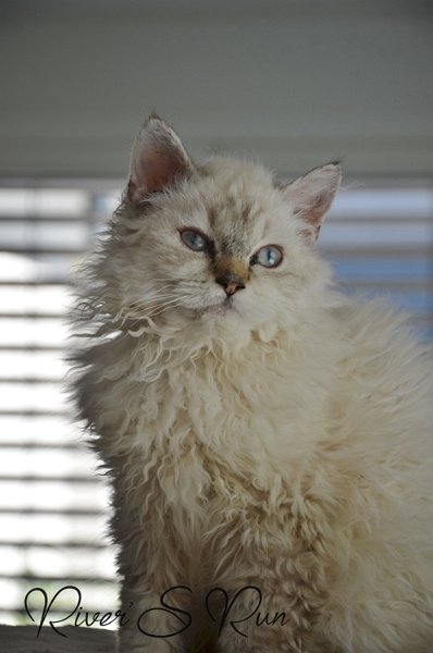 DSC_3858.jpg - Victoria