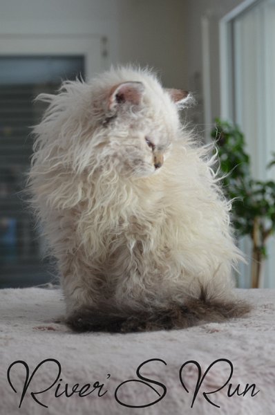 victoria-17-avril-2024--1-(4).jpg - Victoria